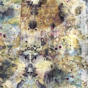 Eco-printing on Paper extension Workshop June 2024