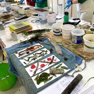 Eco-printing on paper June 2024