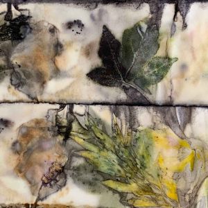 Eco-printing on paper June 2024