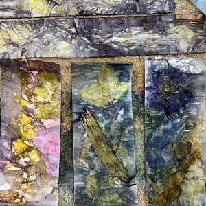 Eco-printing on paper June 2024