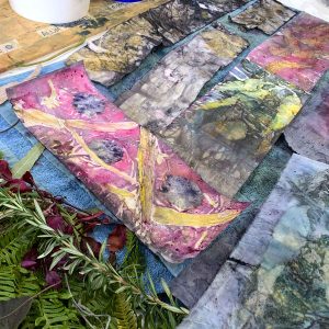 Eco-printing on paper June 2024