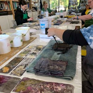 Eco-printing on paper June 2024