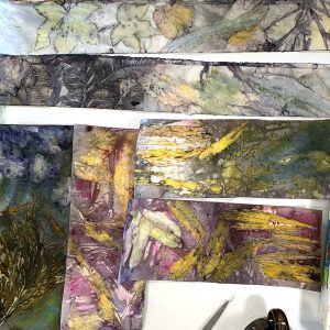 Eco-printing on paper June 2024