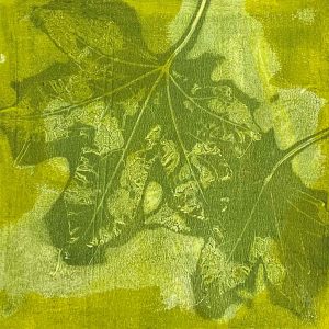 Gel Plate Monoprinting Beyond the Basics workshop June 24