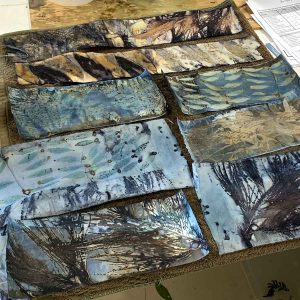 Eco-printing on paper June 2024