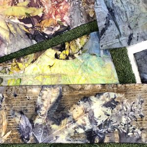 Eco-printing on paper June 2024