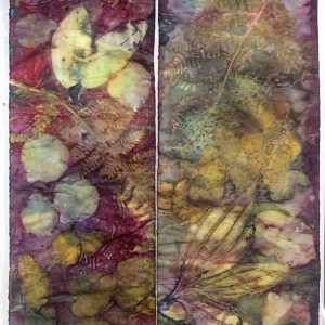 Eco-printing on Paper Extension August 24