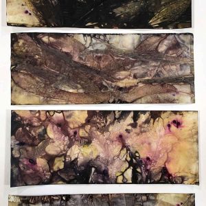 Eco-printing on Paper Extension August 24