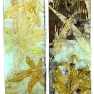 Eco-printing on Paper Extension August 24