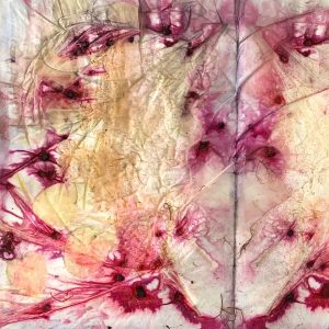 Eco-printing on paper August 24