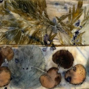 Eco-printing on paper August 24