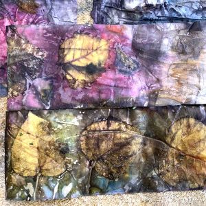 Eco-printing on paper August 24