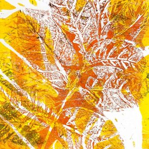 Gel Plate Monoprinting August 24