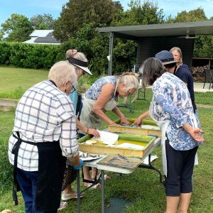 Cyanotype Beyond the Basics September 2024