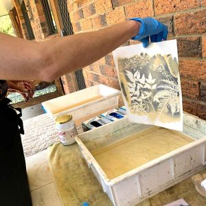 Cyanotype Beyond the Basics September 2024