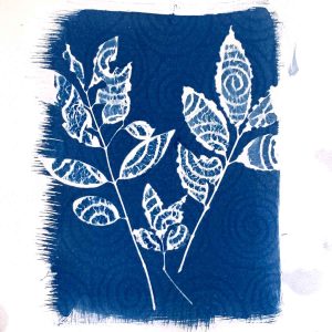 Cyanotype Beyond the Basics September 2024