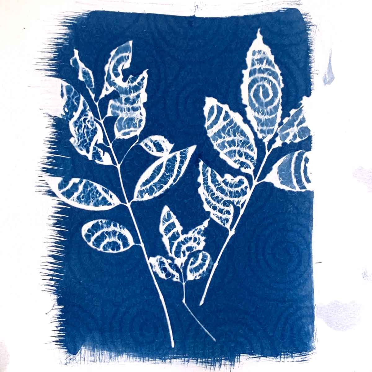 Cyanotype Beyond the Basics September 2024