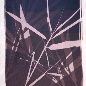 Cyanotype Beyond the Basics September 2024