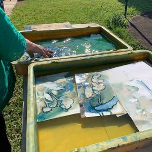 Cyanotype Beyond the Basics August 2024