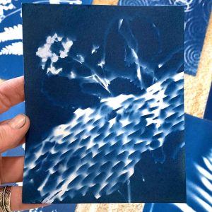 Cyanotype workshop September 24