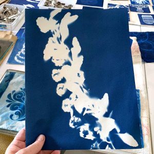 Cyanotype workshop September 24