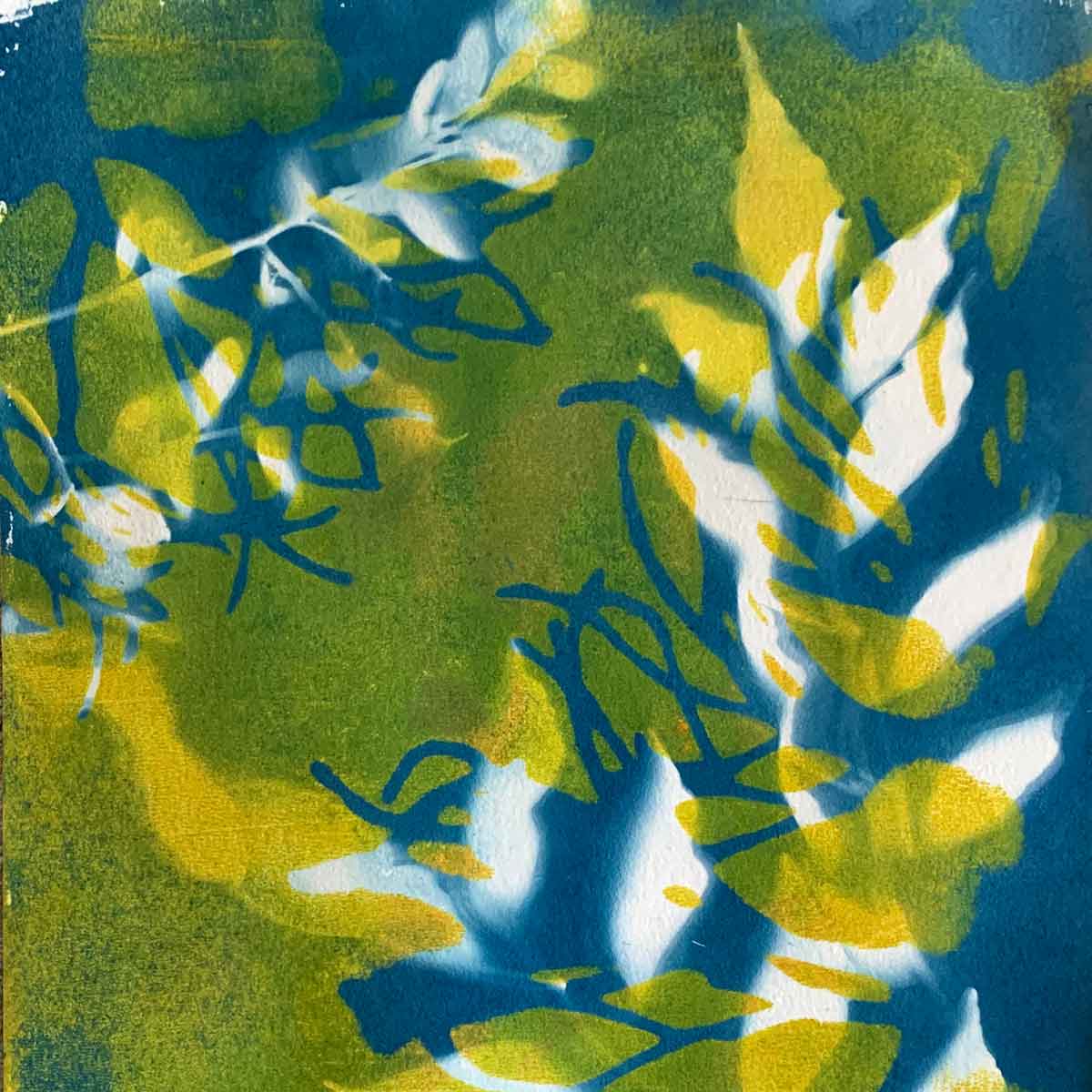 Cyanotype Beyond the Basics August 2024