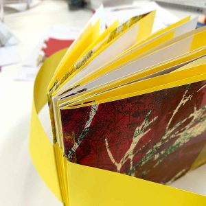 Simply Folded Artist Books September 2024