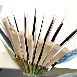 Simply Folded Artist Books September 2024