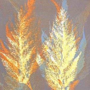 Gel Plate Monoprinting October 24