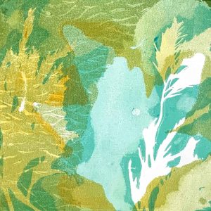 Gel Plate Monoprinting Beyond the Basics workshop October 24