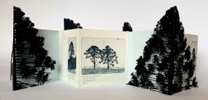 Hinterland Bunyas, Curramore, 24 August 2024