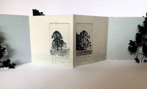 Hinterland Bunyas, Curramore, 24 August 2024