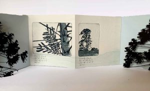 Hinterland Bunyas, Curramore, 24 August 2024