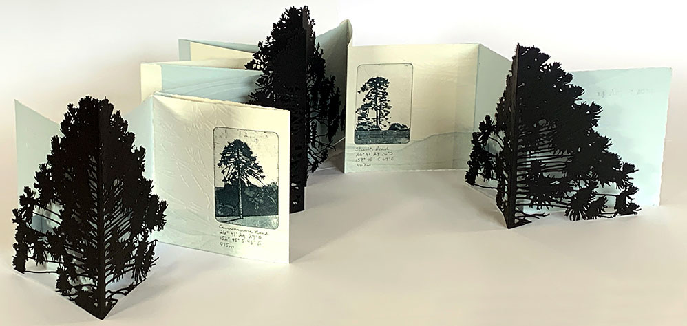 Hinterland Bunyas, Curramore - artist book