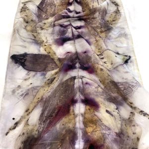 Eco-printing on Silk Private Group workshop Nov 24