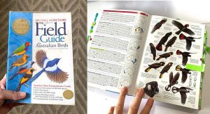 Field Guide to Australian Birds by Michael Morcombe