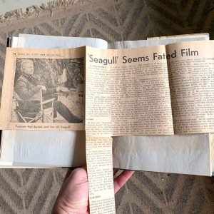 Jonathan Livingston Seagull