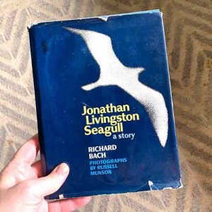 Jonathan Livingston Seagull