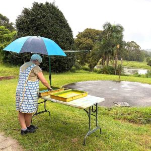 Summer Impressions 2025