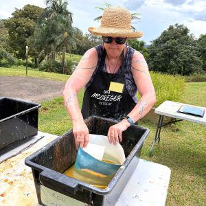 Summer Impressions 2025