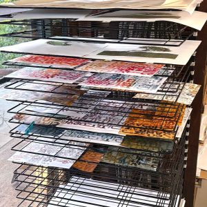 Summer Impressions 2025