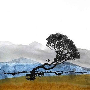 Summer Impressions 2025