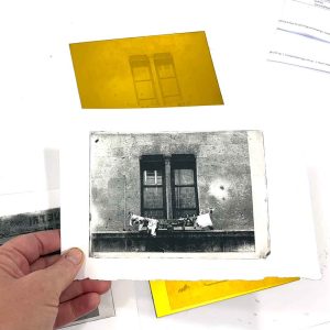 Summer Impressions 2025