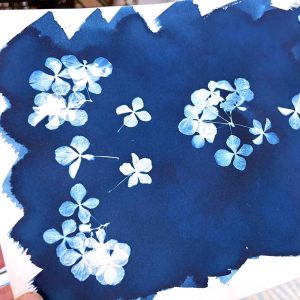 Summer Impressions 2025