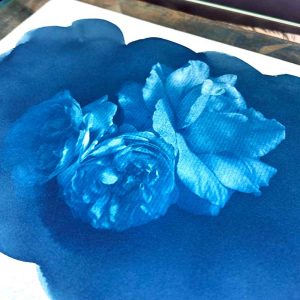 Summer Impressions 2025