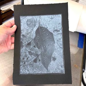 Summer Impressions 2025