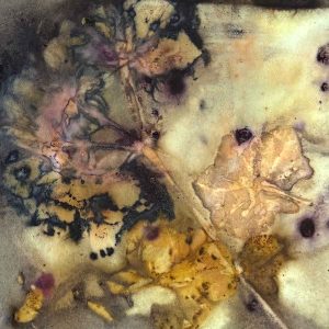 Eco-printing Private Group Workshop Feb25