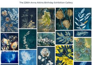 The 226th Anna Atkins Birthday Exhibition Gallery