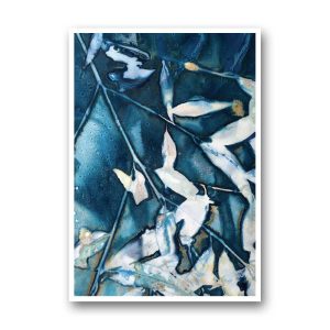 The sky through the eucalypts I