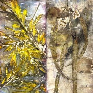 Eco-printing on Paper Workshop March 25